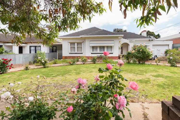 12 Dudley Avenue, Daw Park SA 5041