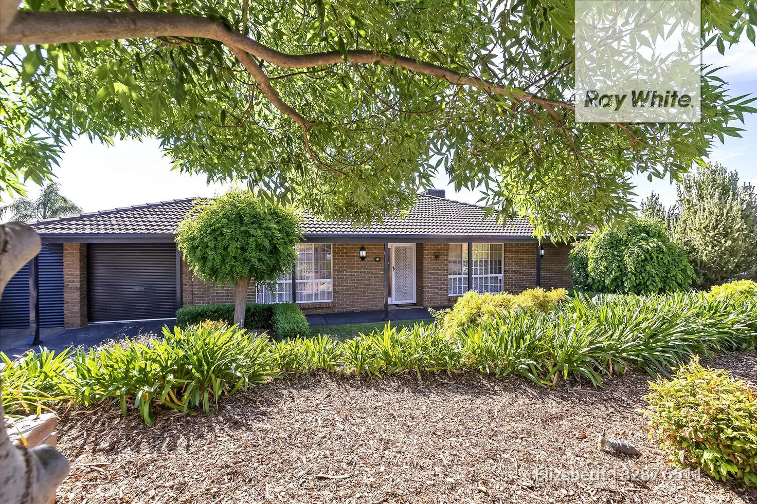 Main view of Homely house listing, 23 Perre Drive, Craigmore SA 5114