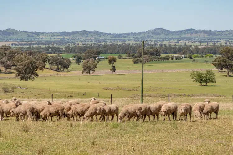 'Braeside' Conimbla Road, Cowra NSW 2794
