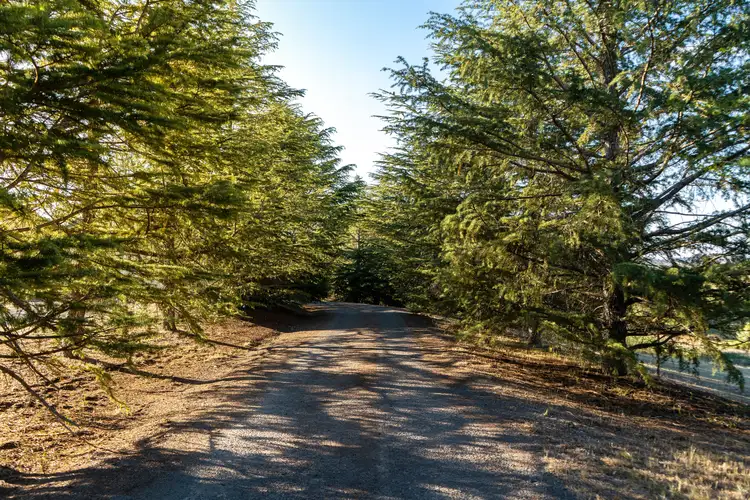 Third view of Homely house listing, 1 Shearsby Crescent, Yass NSW 2582
