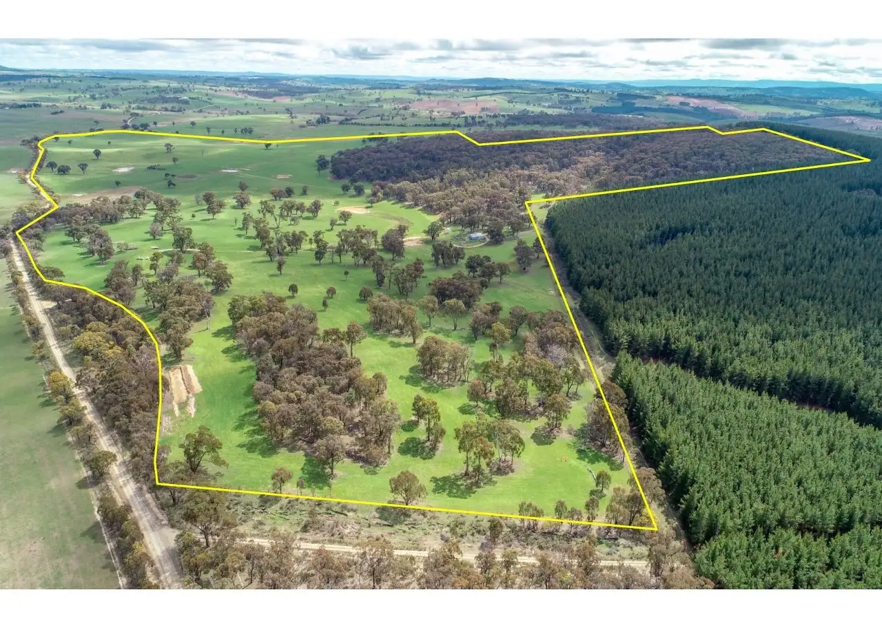 Main view of Homely rural property listing, 203 Schumachers Road, Triangle Flat NSW 2795