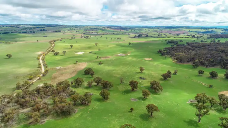 Second view of Homely rural property listing, 203 Schumachers Road, Triangle Flat NSW 2795