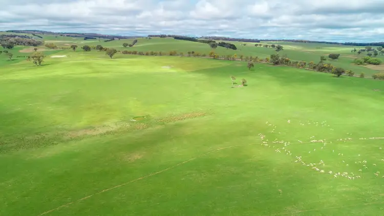Third view of Homely rural property listing, 203 Schumachers Road, Triangle Flat NSW 2795