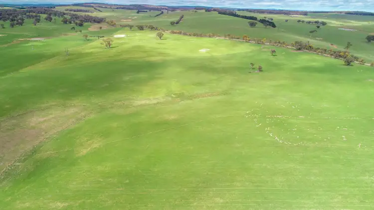 Fourth view of Homely rural property listing, 203 Schumachers Road, Triangle Flat NSW 2795