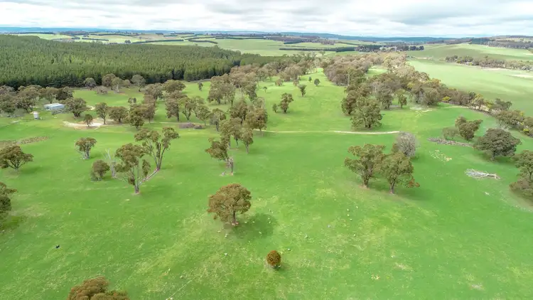 Fifth view of Homely rural property listing, 203 Schumachers Road, Triangle Flat NSW 2795