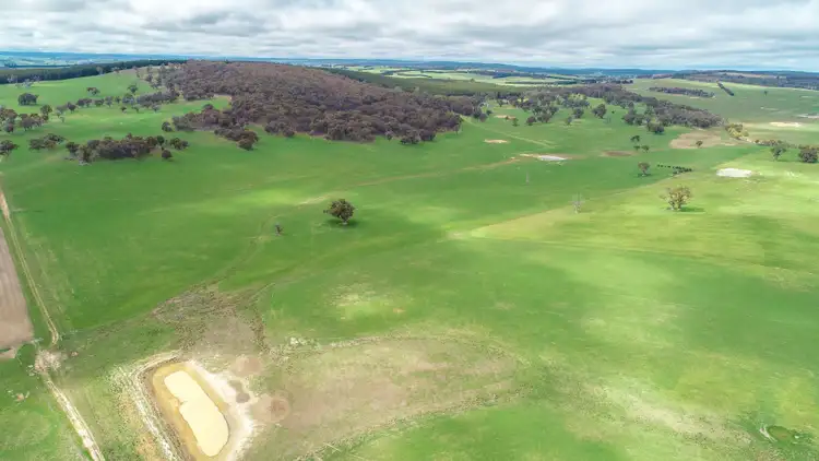 Sixth view of Homely rural property listing, 203 Schumachers Road, Triangle Flat NSW 2795
