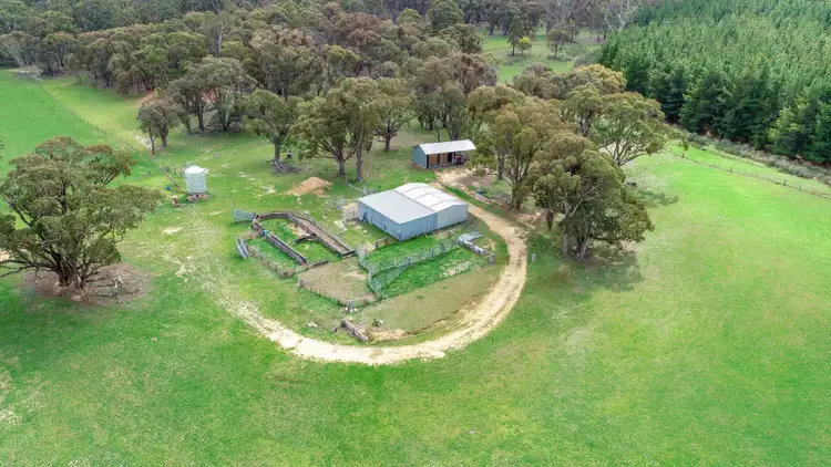 Seventh view of Homely rural property listing, 203 Schumachers Road, Triangle Flat NSW 2795