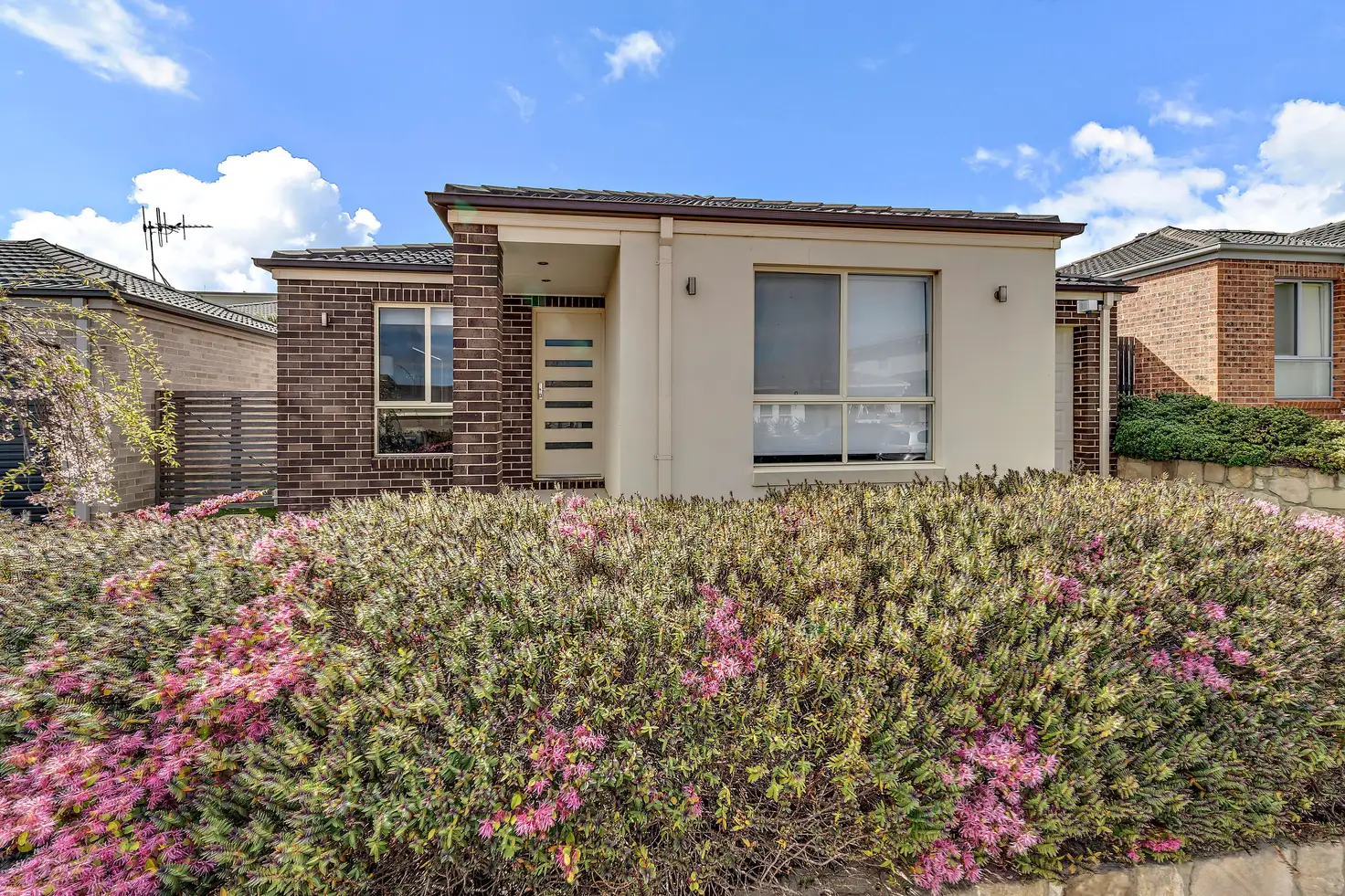 Main view of Homely house listing, 8 Hinde Street, Franklin ACT 2913