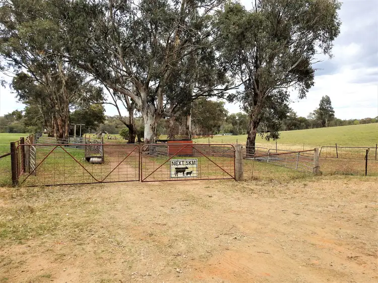 41 Dairymans Lane, Young NSW 2594