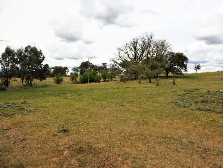 Sixth view of Homely land listing, 41 Dairymans Lane, Young NSW 2594