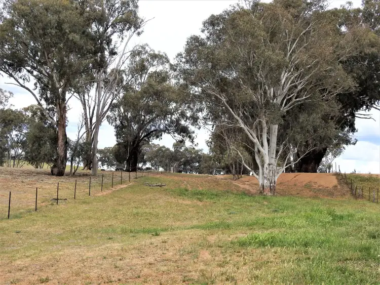 Seventh view of Homely land listing, 41 Dairymans Lane, Young NSW 2594