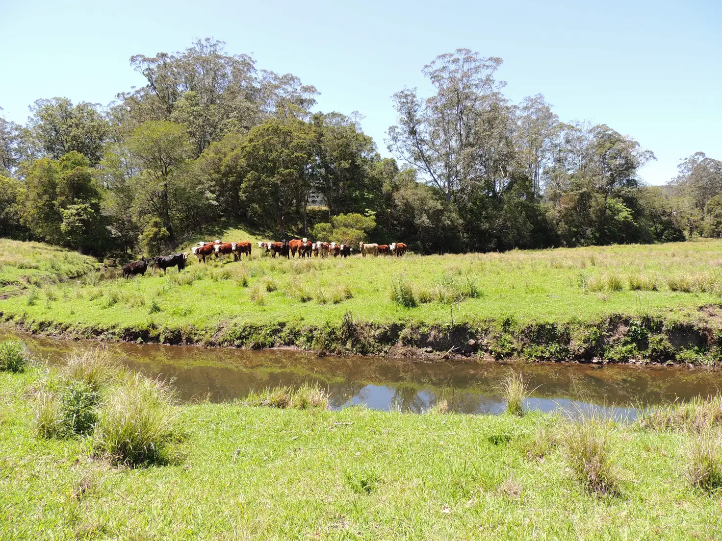 Main view of Homely rural property listing, Address available on request