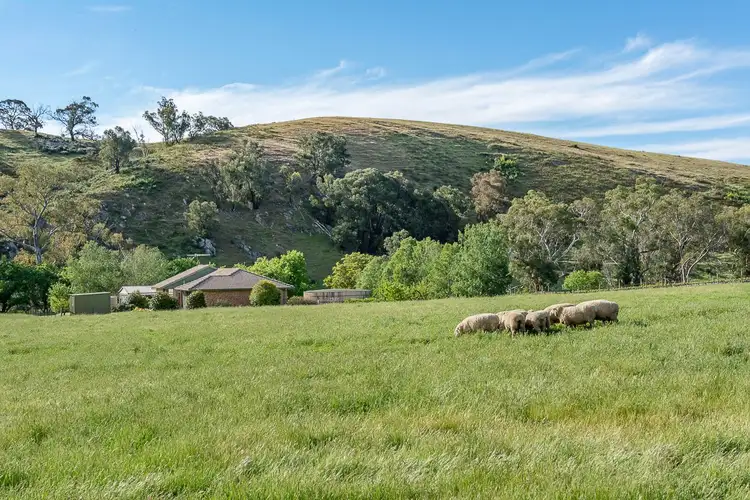 Third view of Homely rural property listing, 2614 Gorge Road, Gumeracha SA 5233