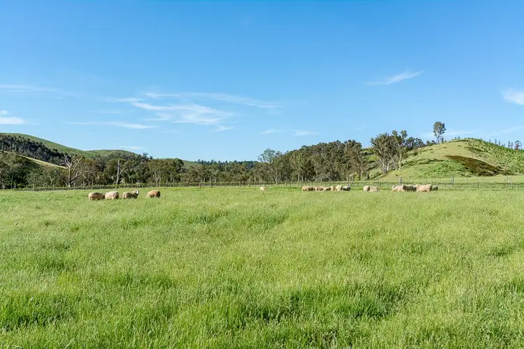 Fifth view of Homely rural property listing, 2614 Gorge Road, Gumeracha SA 5233