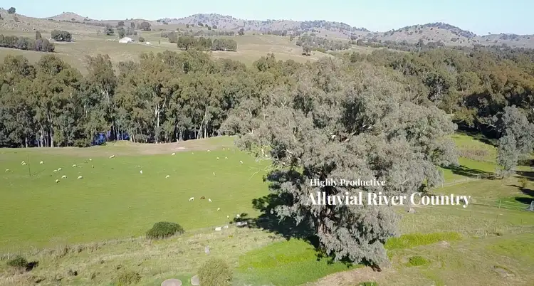 Third view of Homely rural property listing, 142 Clearview Road, Cowra NSW 2794