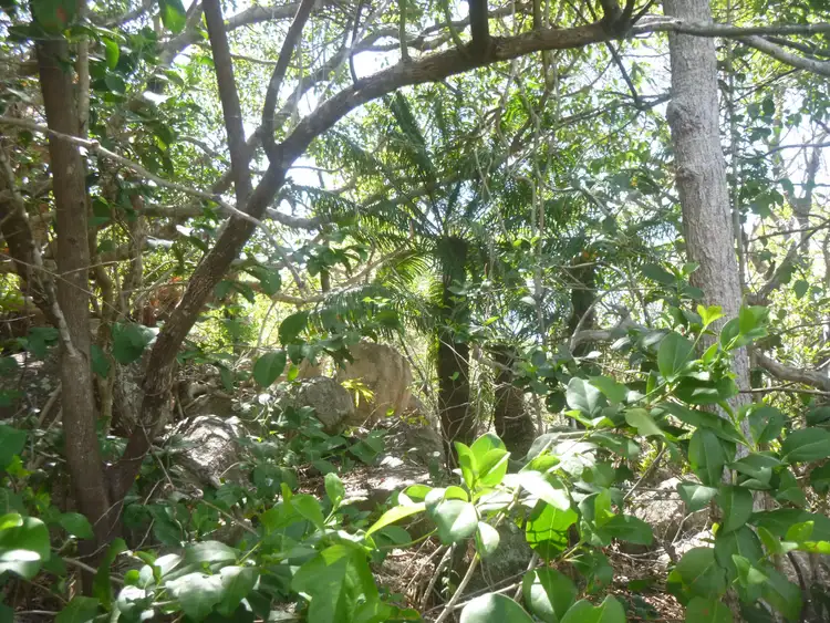 Sixth view of Homely land listing, 1 Irwin Street, Cooktown QLD 4895