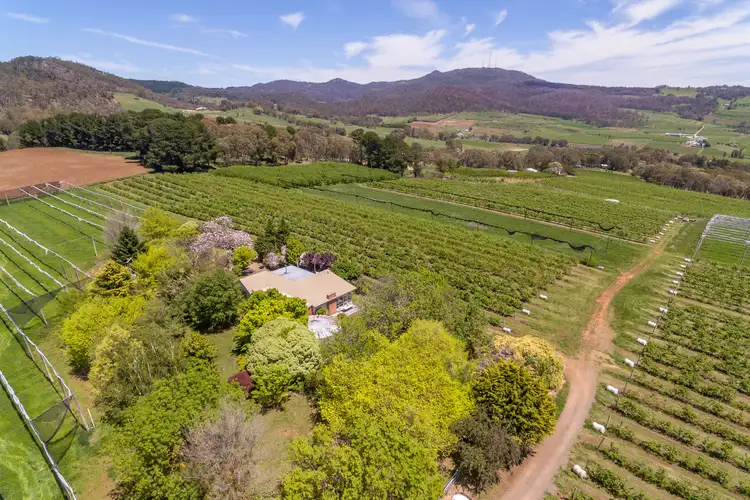 189 Wallace Lane, Orange NSW 2800