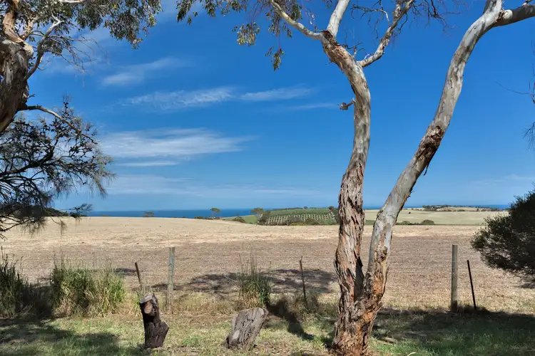 Sixth view of Homely house listing, 687 Forktree Road, Carrickalinga SA 5204
