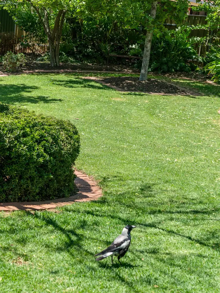 Sixth view of Homely house listing, 10 Ibis Court, Mount Barker SA 5251