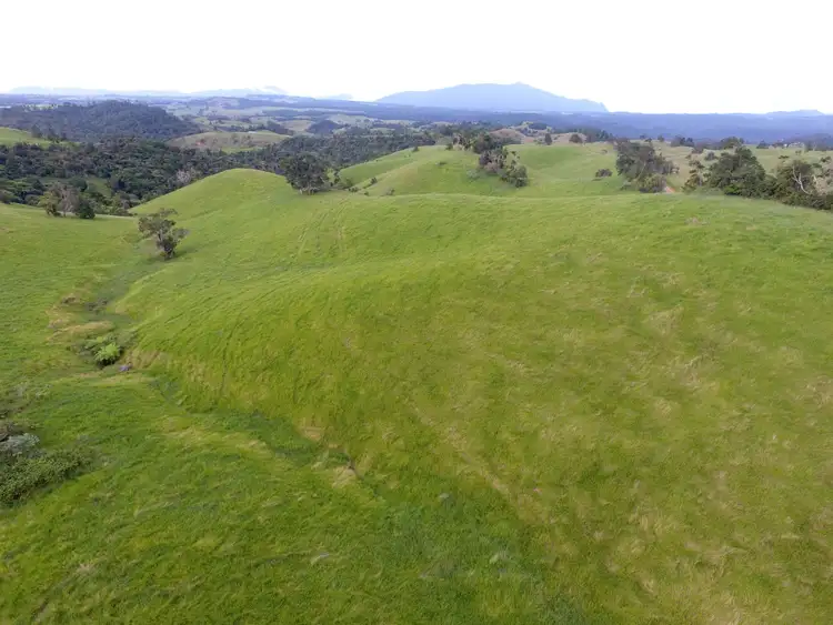 Main view of Homely rural property listing, 306 Hitchconole Road, Tarzali QLD 4885