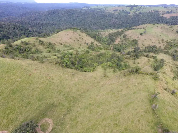 Second view of Homely rural property listing, 306 Hitchconole Road, Tarzali QLD 4885