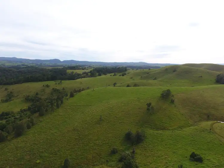 Seventh view of Homely rural property listing, 306 Hitchconole Road, Tarzali QLD 4885