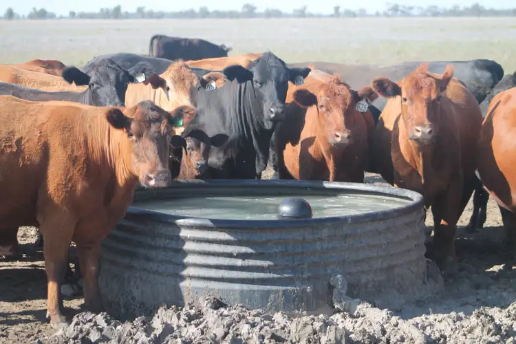 Second view of Homely rural property listing, Address available on request