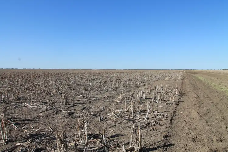 Third view of Homely rural property listing, Address available on request