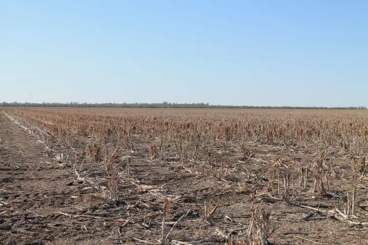 Sixth view of Homely rural property listing, Address available on request