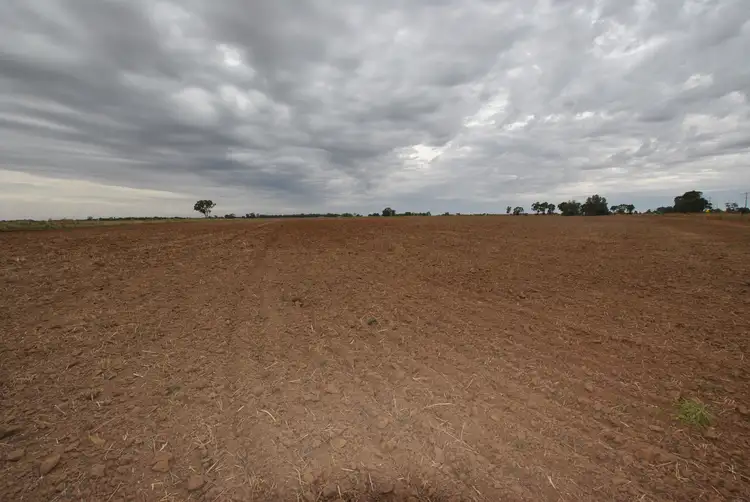 Second view of Homely rural property listing, Farm 919 Irrigation Way, Whitton NSW 2705