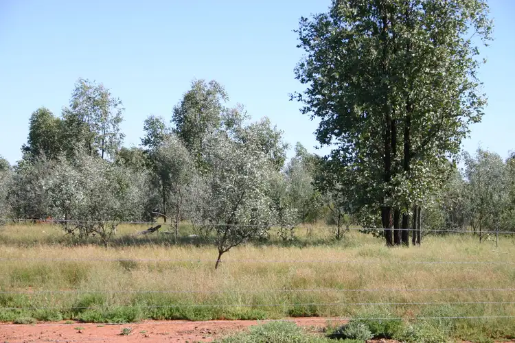Second view of Homely rural property listing, 66993 Warrego Highway, Charleville QLD 4470