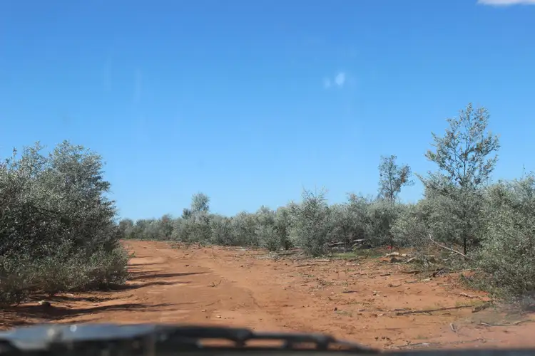 Third view of Homely rural property listing, 66993 Warrego Highway, Charleville QLD 4470