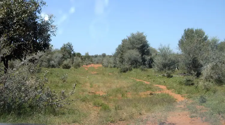 Fourth view of Homely rural property listing, 66993 Warrego Highway, Charleville QLD 4470