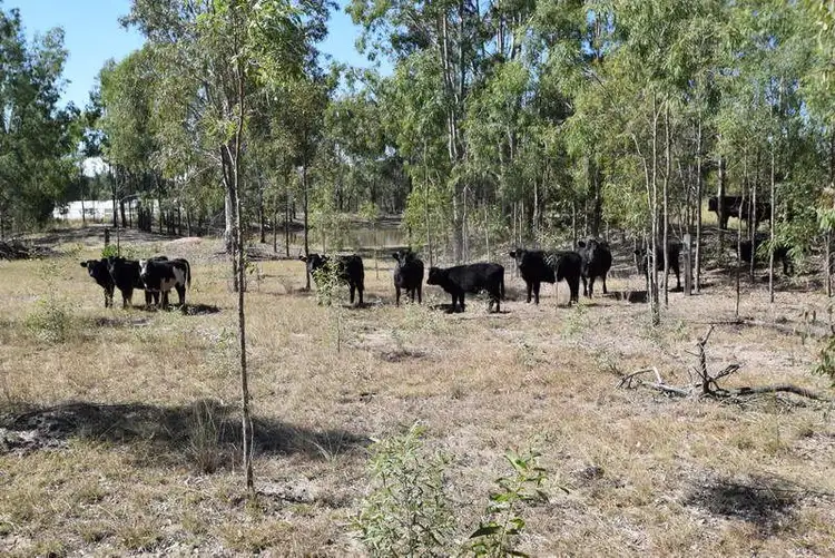 Seventh view of Homely land listing, 3 Jamieson Road, Churchable QLD 4311