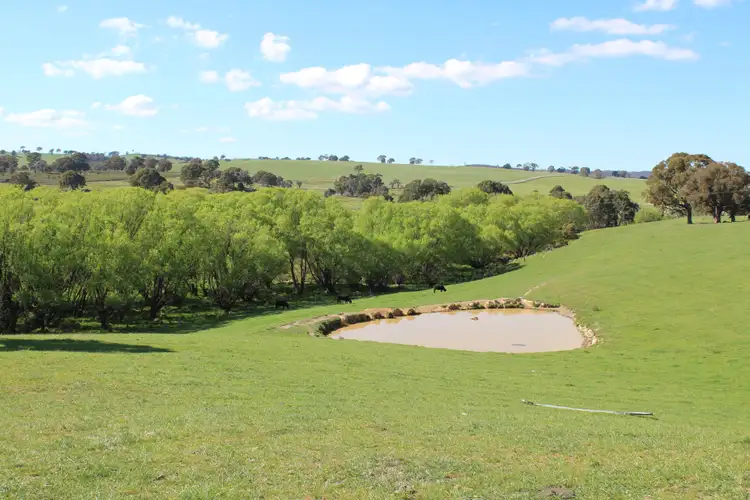 Second view of Homely rural property listing, 2641 Burraga Road, Burraga NSW 2795