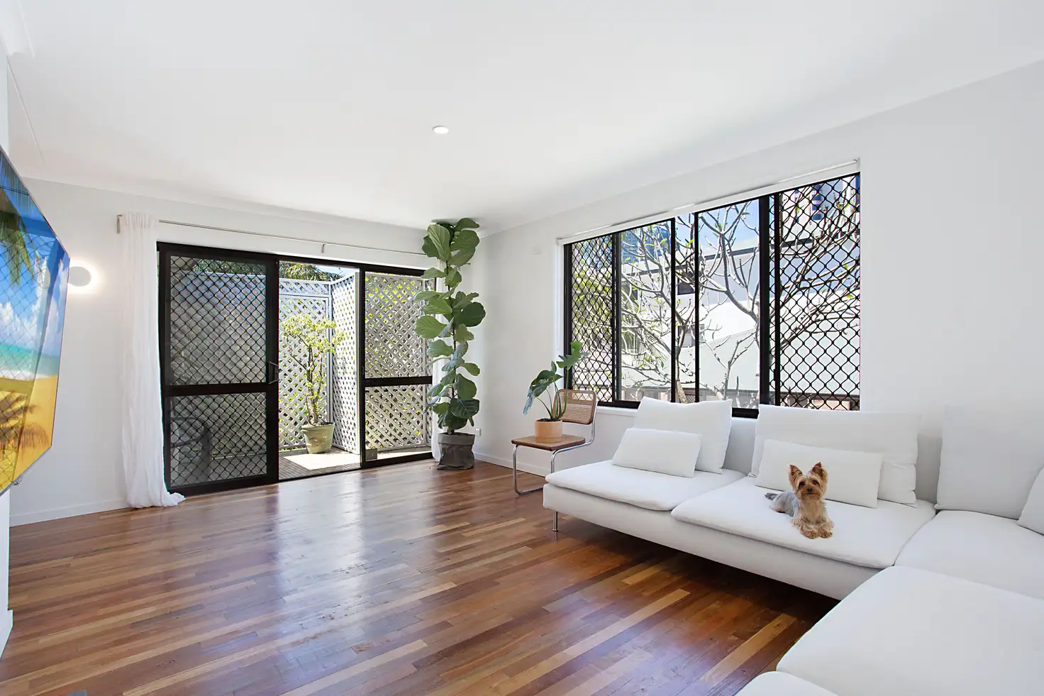 Main view of Homely unit listing, 6/16 Monaco Street, Surfers Paradise QLD 4217
