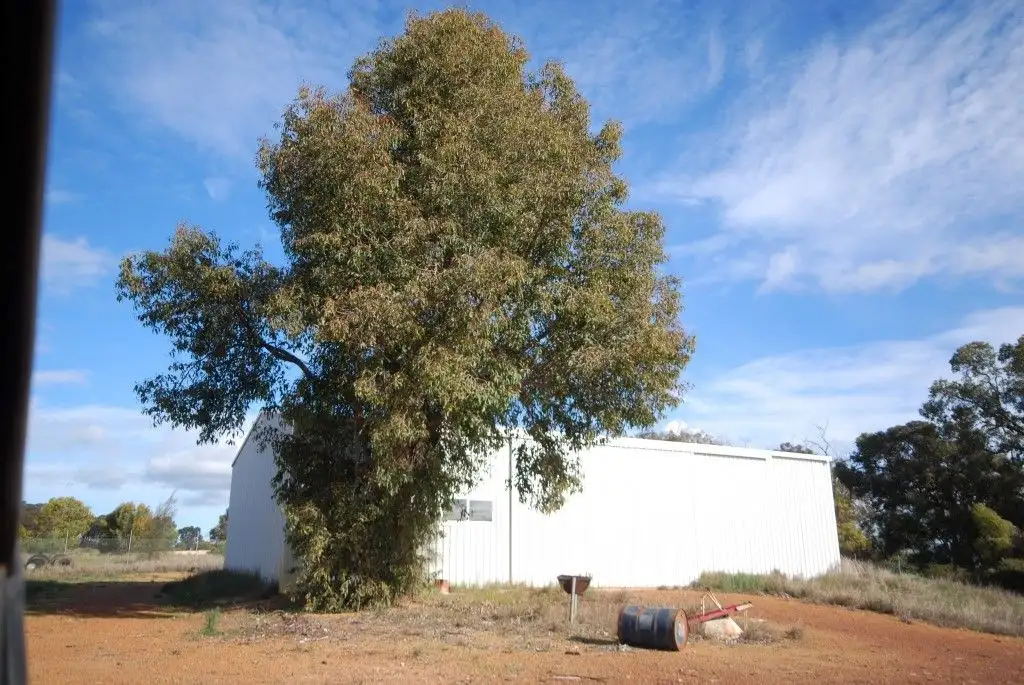 Main view of Homely house listing, 276 Lydeker Way, Narrogin WA 6312