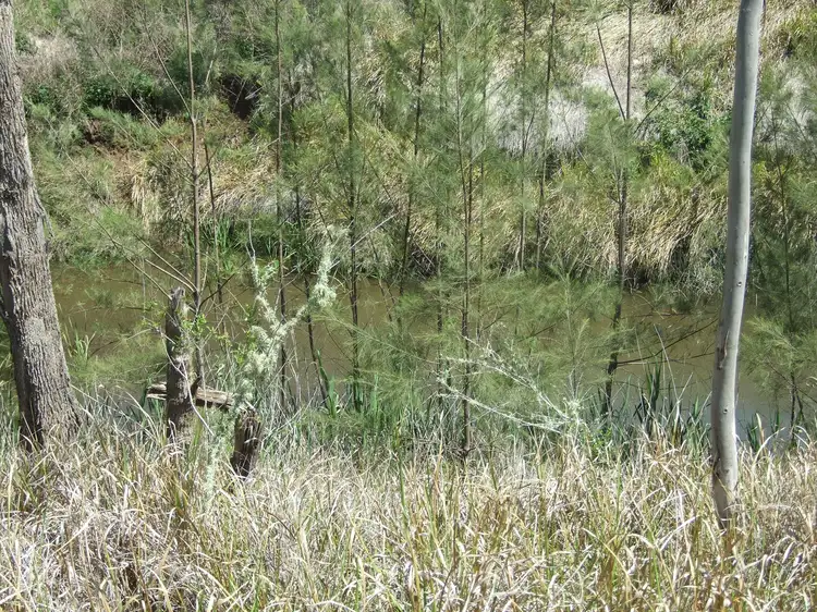 Second view of Homely rural property listing, L15 Emu Creek Hall Road, Emu Creek QLD 4355