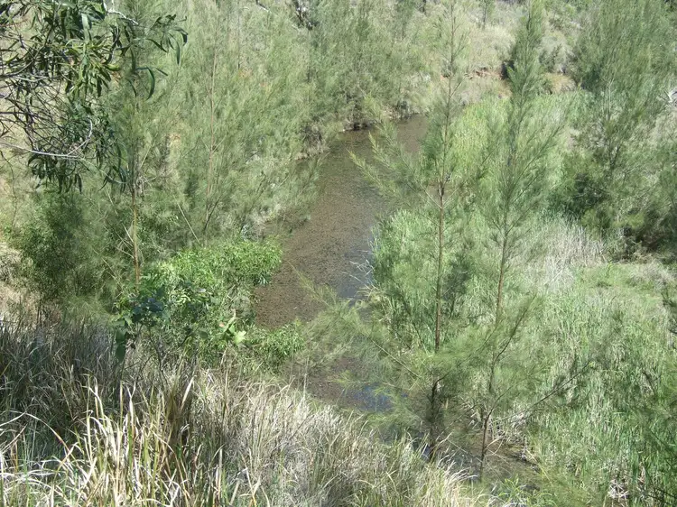 Third view of Homely rural property listing, L15 Emu Creek Hall Road, Emu Creek QLD 4355
