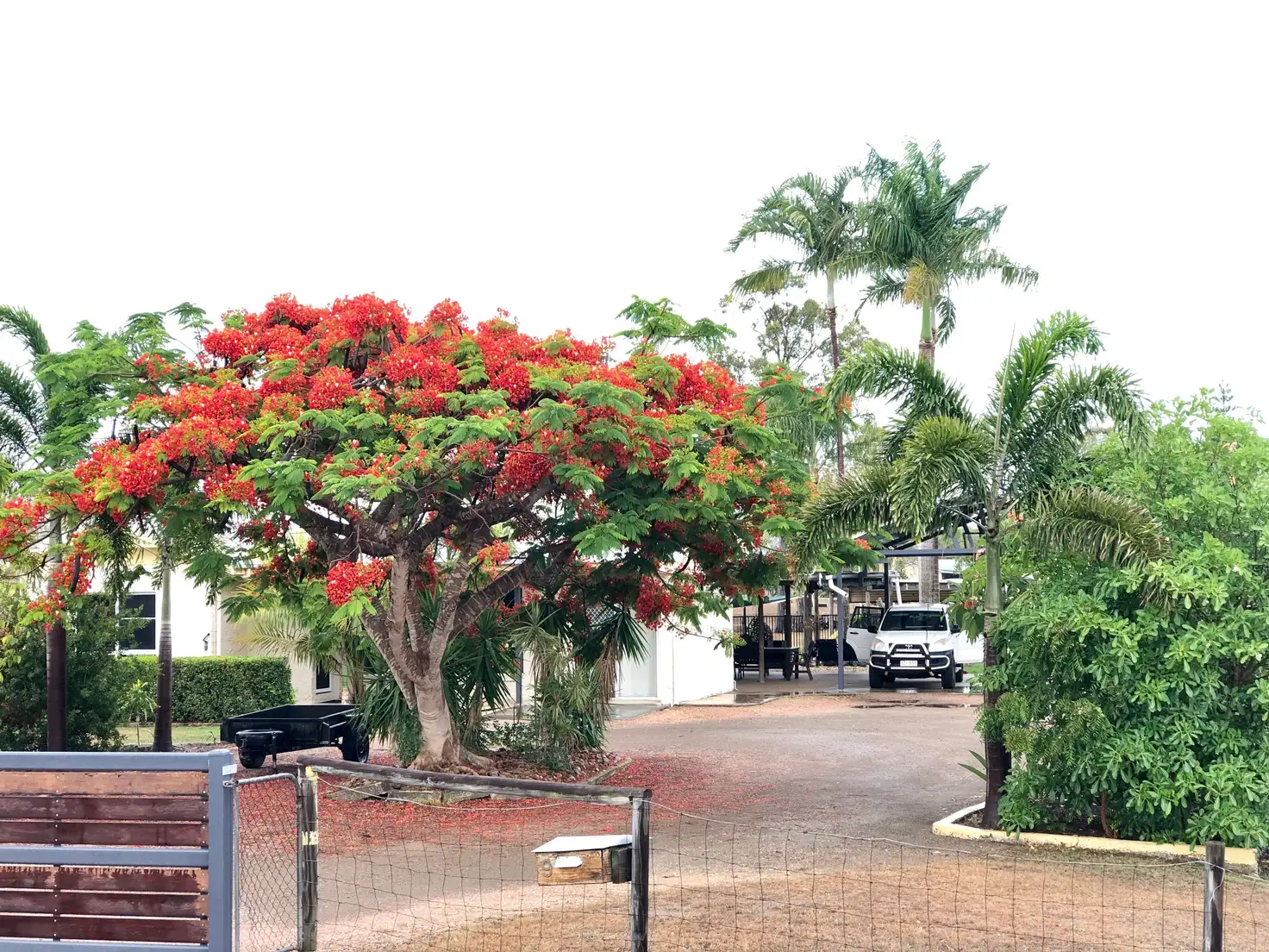 Main view of Homely rural property listing, 9 Havenwood Drive, Mount Low QLD 4818