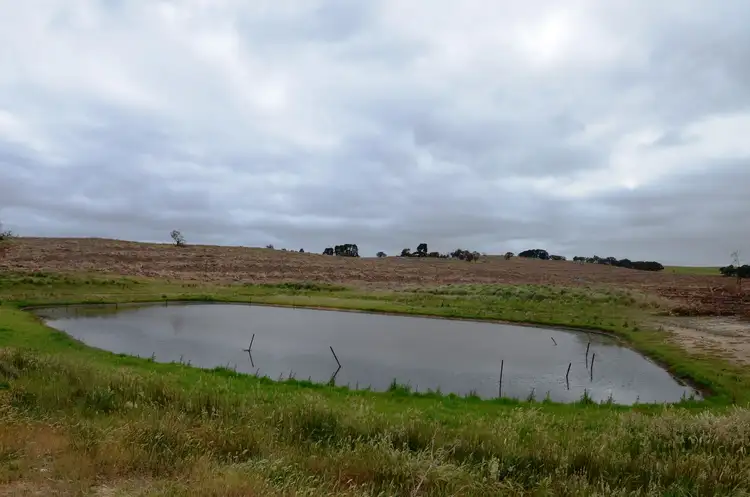 Second view of Homely rural property listing, Lot 1 "Curlewis" Ellis Road, Beaufort VIC 3373