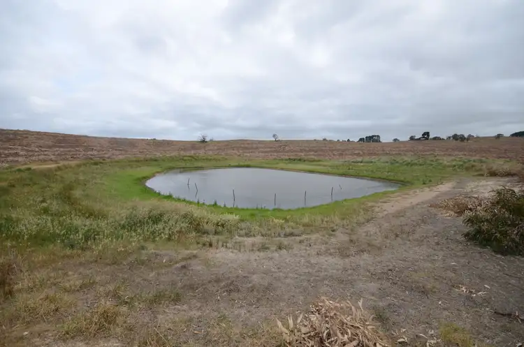 Fifth view of Homely rural property listing, Lot 1 "Curlewis" Ellis Road, Beaufort VIC 3373