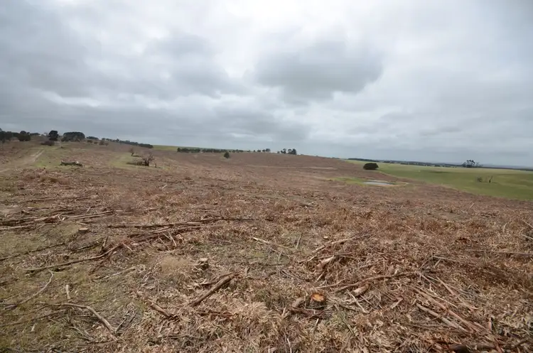 Seventh view of Homely rural property listing, Lot 1 "Curlewis" Ellis Road, Beaufort VIC 3373