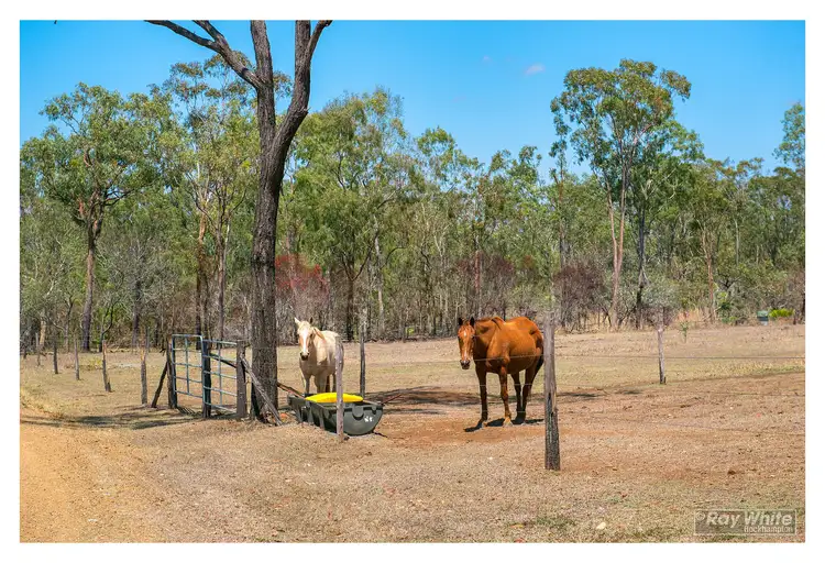 Fourth view of Homely house listing, 29 Fourteen Mile Road, The Caves QLD 4702