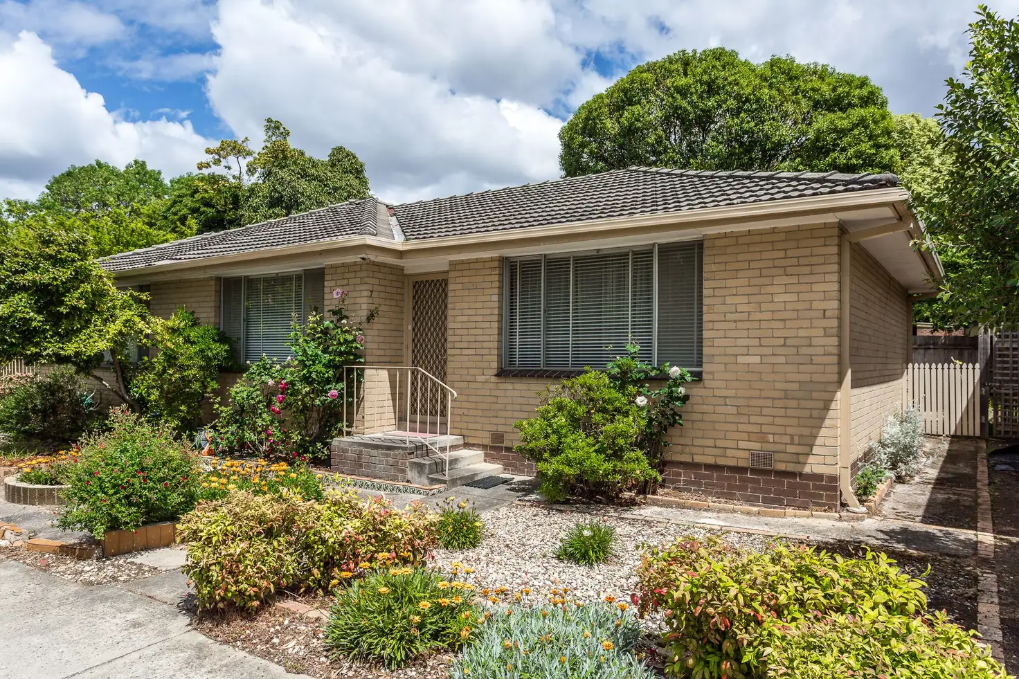 Main view of Homely unit listing, 7/24 Harrison Street, Mitcham VIC 3132