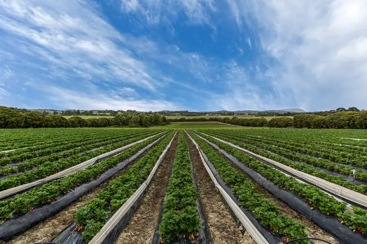 Sixth view of Homely land listing, 766 - 768 Maroondah Highway, Coldstream VIC 3770