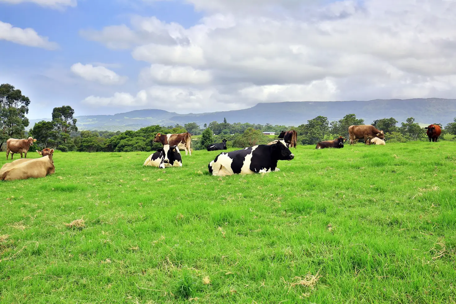 Main view of Homely rural property listing, Lots 100  1001 Curramore Road, Jamberoo NSW 2533