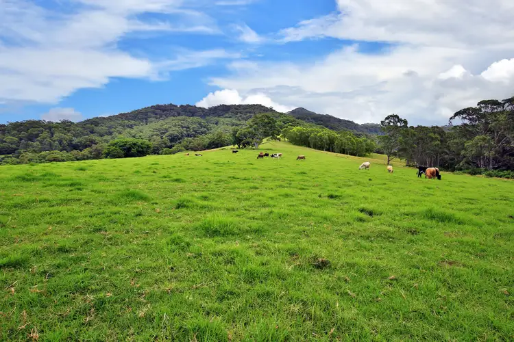 Fourth view of Homely rural property listing, Lots 100 1001 Curramore Road, Jamberoo NSW 2533