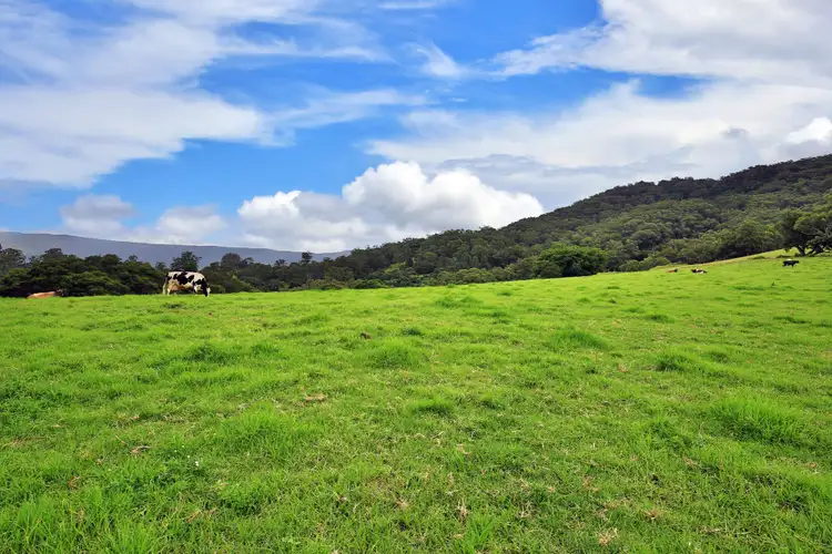 Fifth view of Homely rural property listing, Lots 100 1001 Curramore Road, Jamberoo NSW 2533