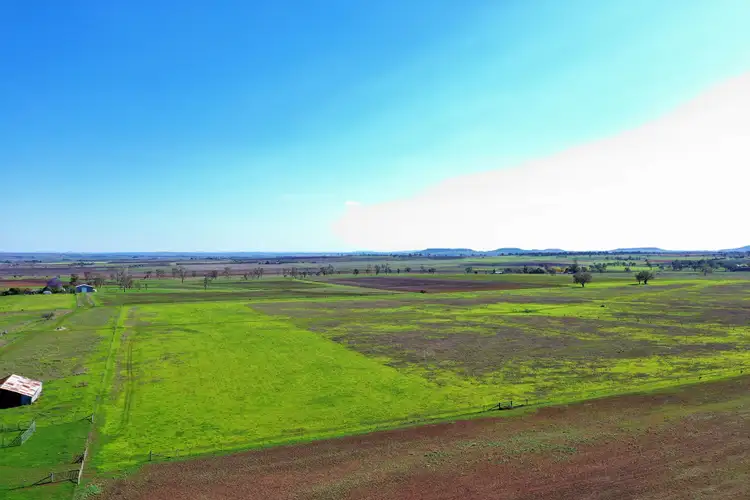 164 Palmer Road, Nobby QLD 4360